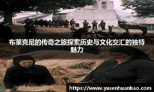 完美体育