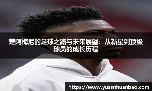 完美体育官网