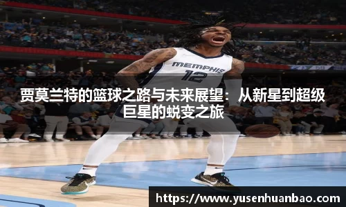 完美体育官网